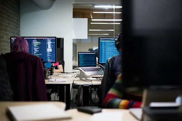 Web Development
